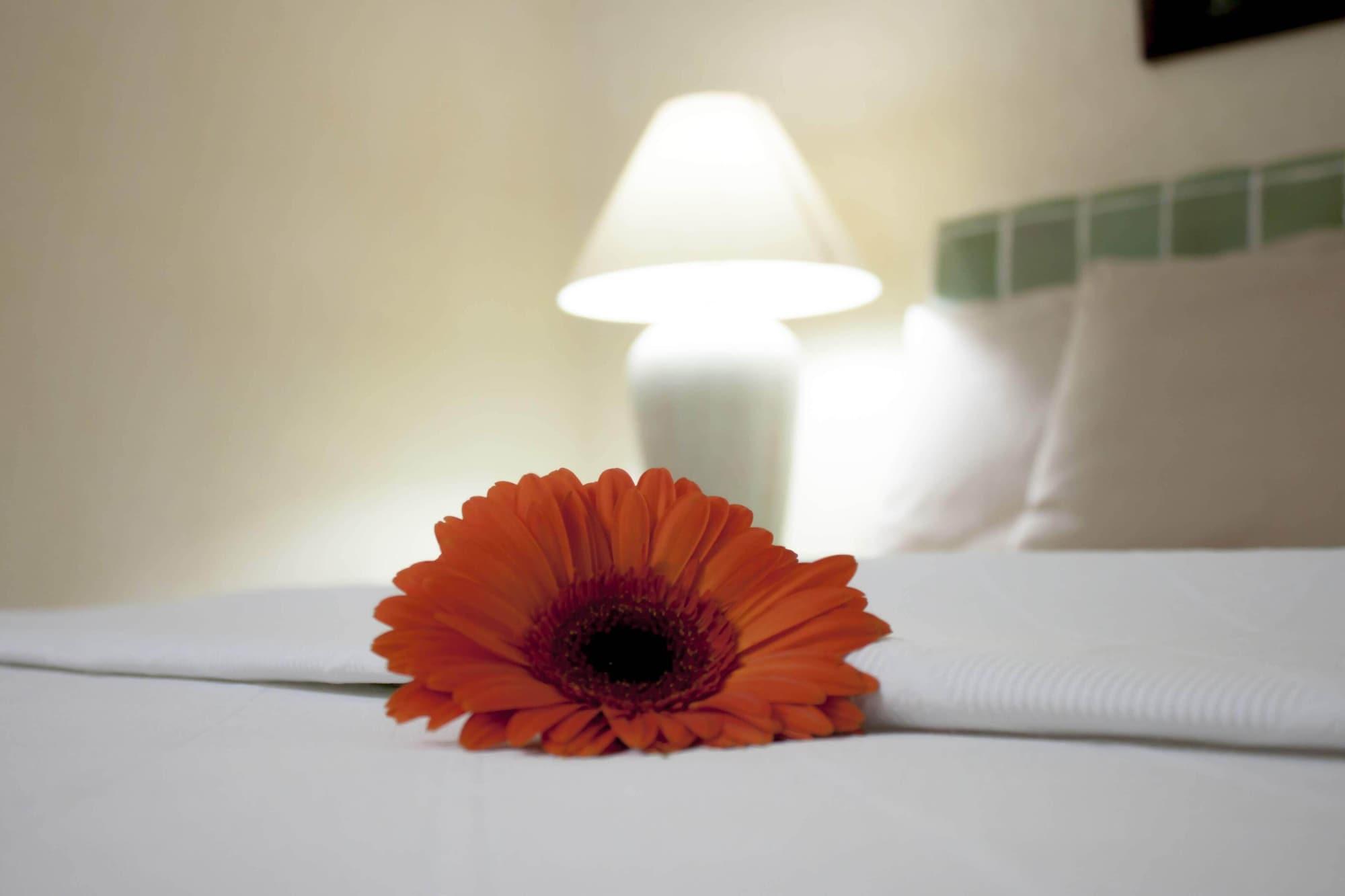 Coral Ixtapa Hotell Ixtapa  Eksteriør bilde